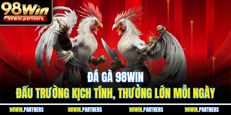 Đá Gà 98WIN - Đấu Trường Kịch Tính, Thưởng Lớn Mỗi Ngày