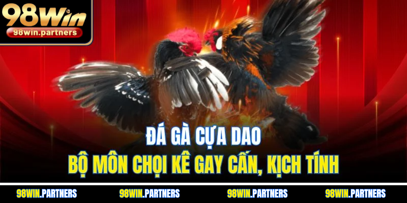 Đá gà cựa dao - Bộ môn chọi kê gay cấn, kịch tính Đá gà cựa dao - Bộ môn chọi kê gay cấn, kịch tính