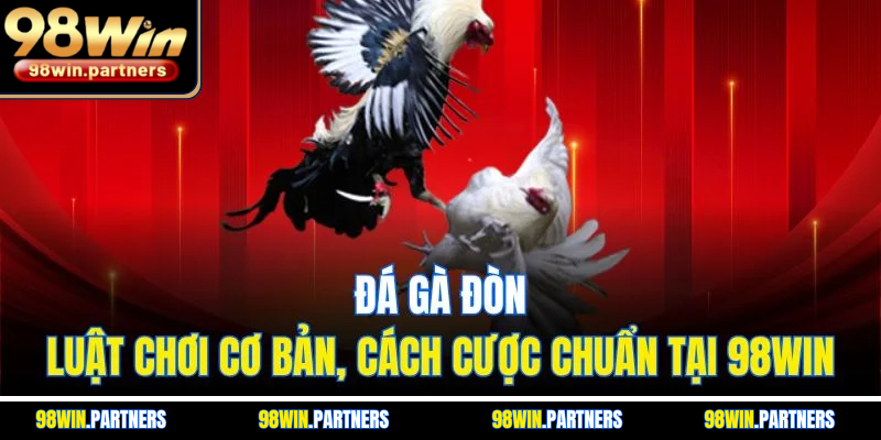 Đá Gà Đòn | Luật Chơi Cơ Bản, Cách Cược Chuẩn Tại 98WIN