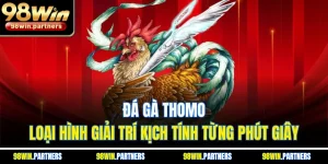 Đá Gà Thomo - Loại Hình Giải Trí Kịch Tính Từng Phút Giây