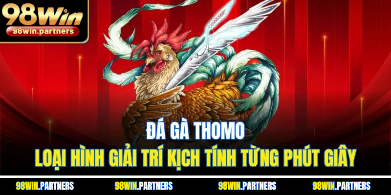 Đá Gà Thomo - Loại Hình Giải Trí Kịch Tính Từng Phút Giây