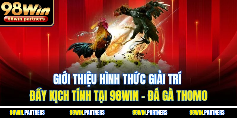 Giới thiệu hình thức giải trí đầy kịch tính tại 98WIN - Đá gà Thomo Giới thiệu hình thức giải trí đầy kịch tính tại 98WIN - Đá gà Thomo