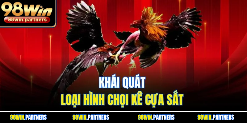 Khái quát loại hình chọi kê cựa sắt Khái quát loại hình chọi kê cựa sắt