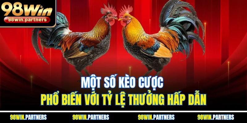 Một số kèo cược phổ biến với tỷ lệ thưởng hấp dẫn Một số kèo cược phổ biến với tỷ lệ thưởng hấp dẫn