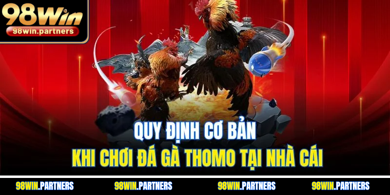 Quy định cơ bản khi chơi đá gà Thomo tại nhà cái Quy định cơ bản khi chơi đá gà Thomo tại nhà cái