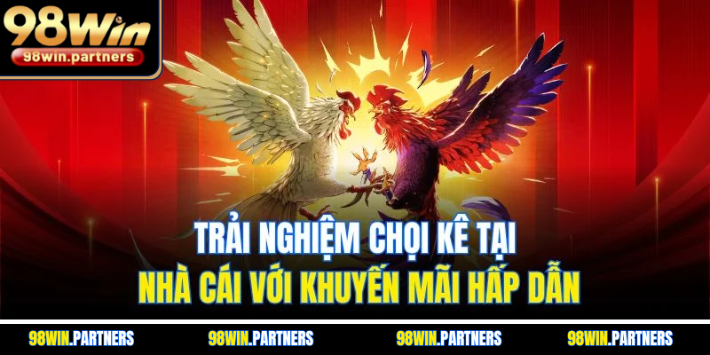 Trải nghiệm chọi kê tại nhà cái với khuyến mãi hấp dẫn