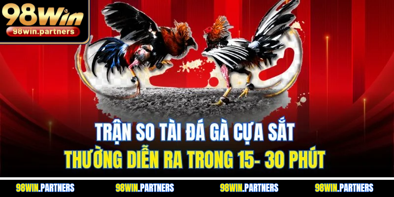 Trận so tài đá gà cựa sắt thường diễn ra trong 15- 30 phút Trận so tài đá gà cựa sắt thường diễn ra trong 15- 30 phút