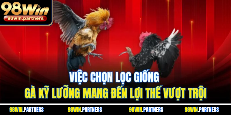 Việc chọn lọc giống gà kỹ lưỡng mang đến lợi thế vượt trội Việc chọn lọc giống gà kỹ lưỡng mang đến lợi thế vượt trội